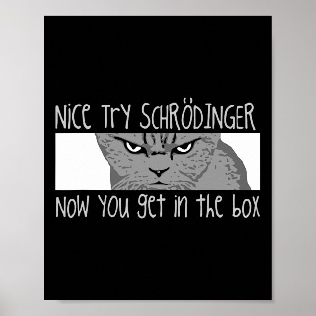 Póster Gato de Schrodinger - Físico (Frente)