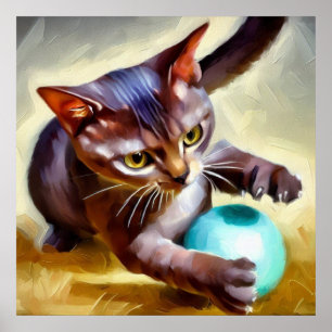 Póster Gato de Shorthair en Brasil