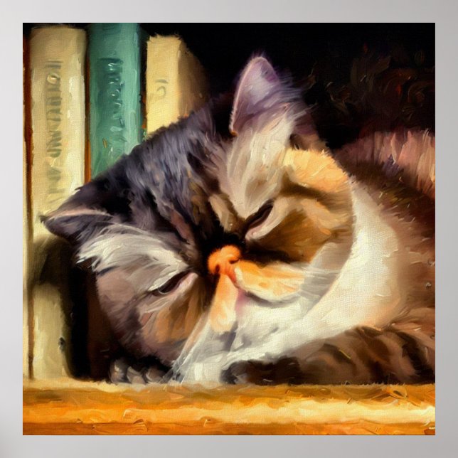 Póster Gato de Shorthair exótico (Frente)