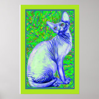 Póster gato de sphynx
