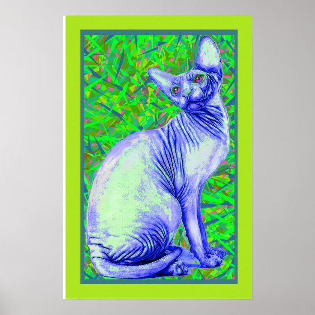 Póster gato de sphynx (Frente)