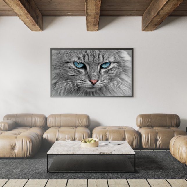Póster Gato de Tabby gris y negro con ojos azules hermoso (Subido por el creador)