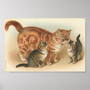 Póster Gato De Tabby Vintage Con Gatitos