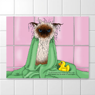 Póster Gato de tiempo de baño