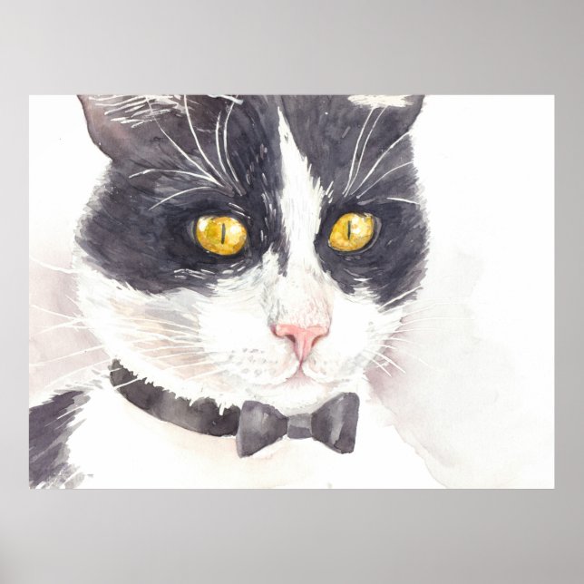 Póster Gato de Tuxedo (Frente)