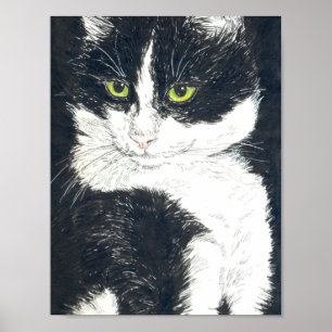 Póster Gato de Tuxedo