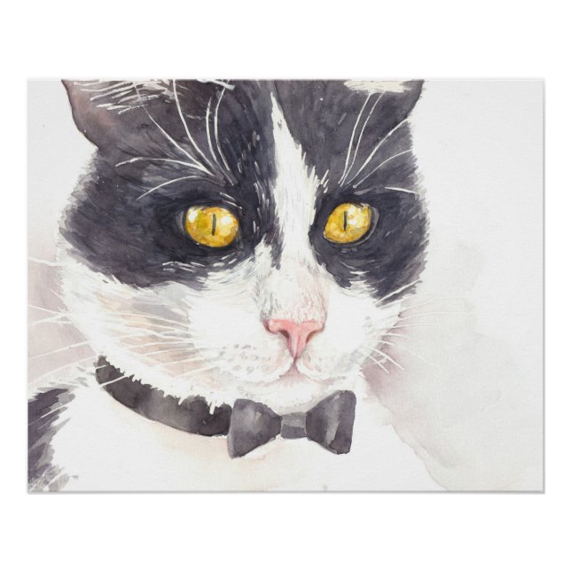Póster Gato de Tuxedo (Anverso)