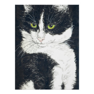 Póster Gato de Tuxedo