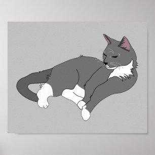 Póster Gato de Tuxedo Gris y Blanco