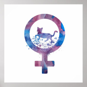 Póster Gato de Venus