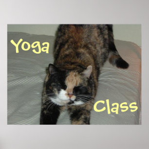 Póster Gato de yoga