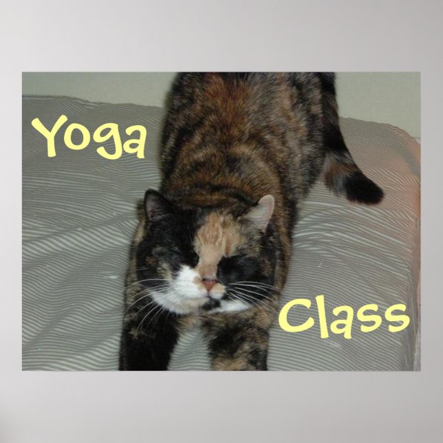 Póster Gato de yoga (Frente)