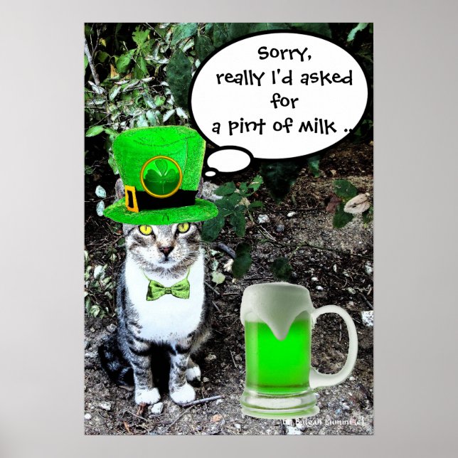 PÓSTER GATO DEL DÍA DE SAN PATRICK CON CERVEZA IRLANDESA  (Frente)