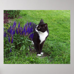 Póster Gato del jardín de la acuarela