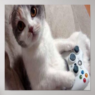 Póster Gato del juego - poster
