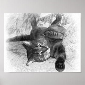 Póster Gato del señor