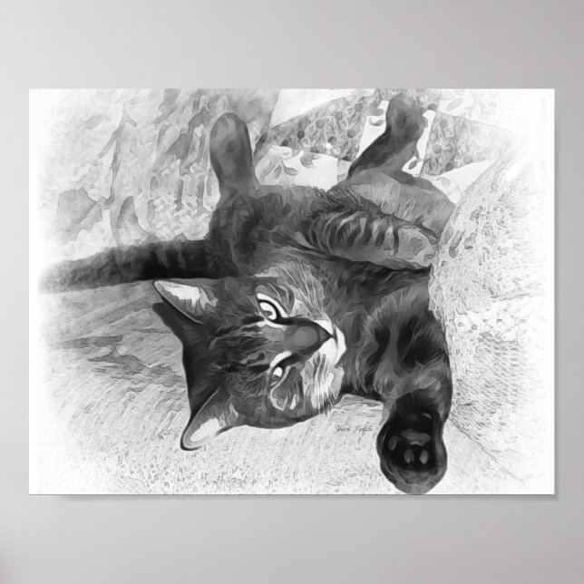 Póster Gato del señor (Frente)