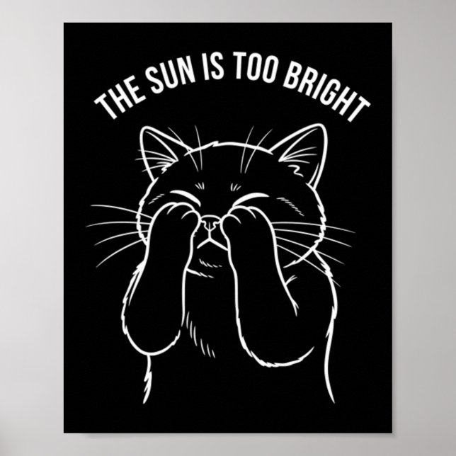 Póster Gato Demasiado Brillante (Frente)