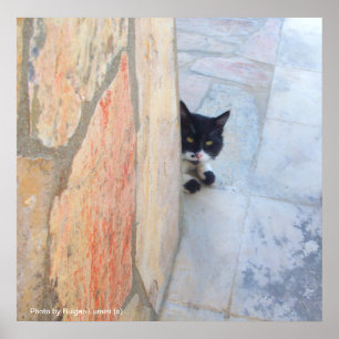 Póster GATO DETECTIVE DETRÁS DEL MURO DE PIEDRA / Día del