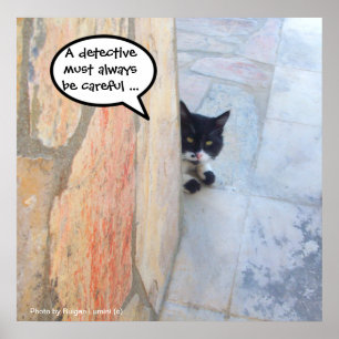 Póster GATO DETECTIVO DETRÁS DE LA PARED DE PIEDRA / Día