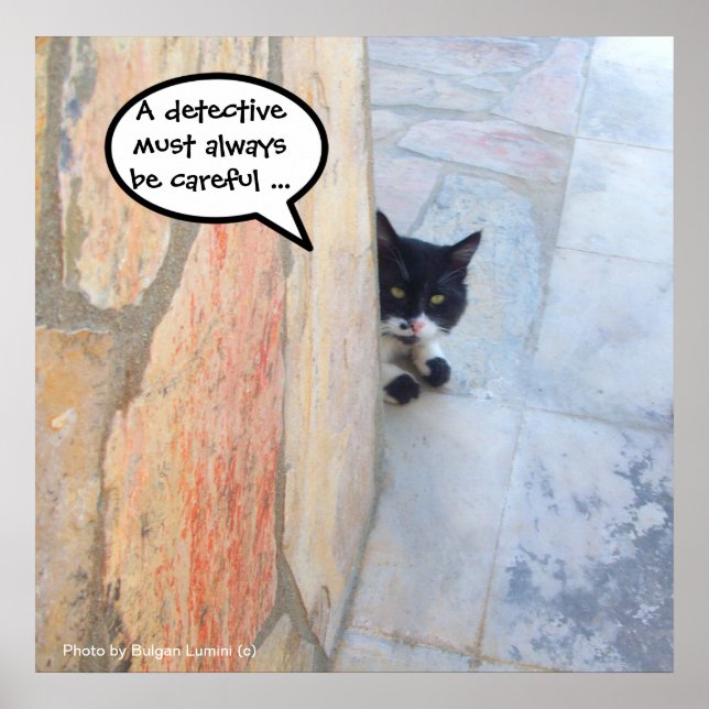 Póster GATO DETECTIVO DETRÁS DE LA PARED DE PIEDRA / Día  (Frente)