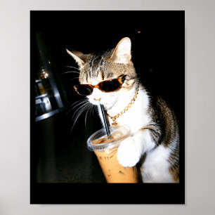 Póster Gato Divertido Bebiendo Café Helado Humor Meme Gat