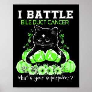 Póster Gato Divertido Conciencia Contra El Cáncer De Cond