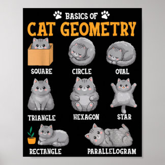 Póster Gato Divertido De Matemáticas Profesor De Matemáti