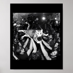Póster Gato divertido de show de rock meme gatito atigrad