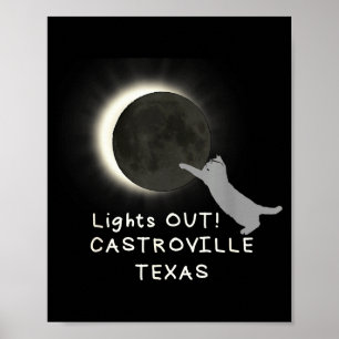 Póster Gato divertido eclipse solar total Castroville