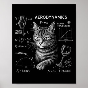 Póster Gato Divertido Ecuaciones De Física Matemática Hum