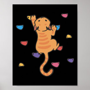 Póster Gato Divertido Escalador De Rocas Subiendo Cute Bo