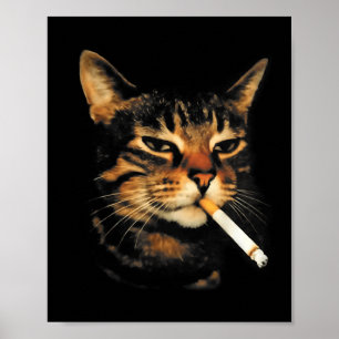 Póster Gato divertido fumando cigarrillo meme de gatito e