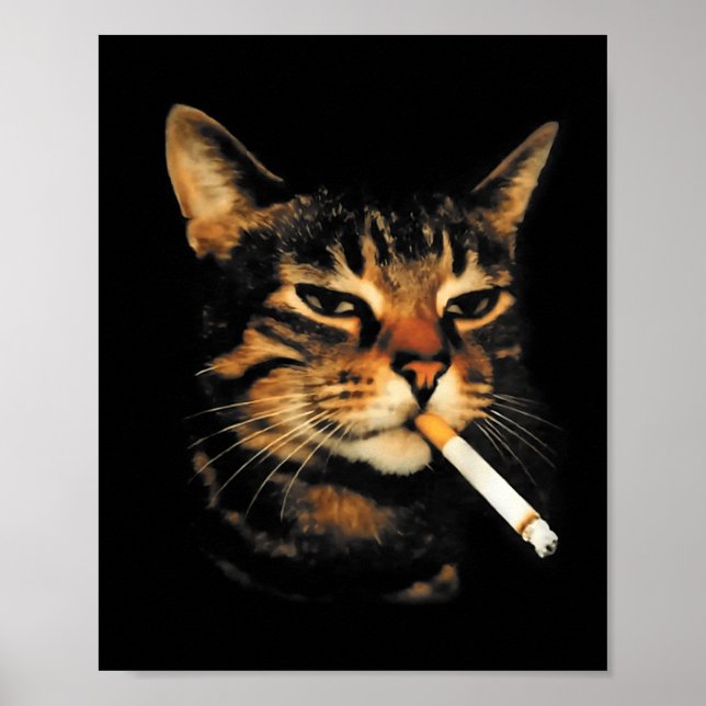 Póster Gato divertido fumando cigarrillo meme de gatito e (Frente)