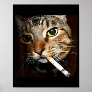 Póster Gato divertido fumando meme humor oscuro gato sarc