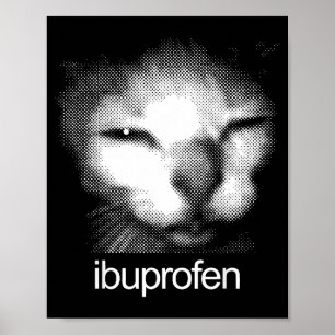 Póster Gato divertido Ibuprofeno Meme Retro Cara de gato
