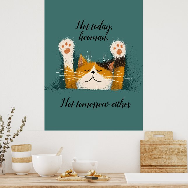 Póster Gato divertido lindo durmiendo (Cocina)