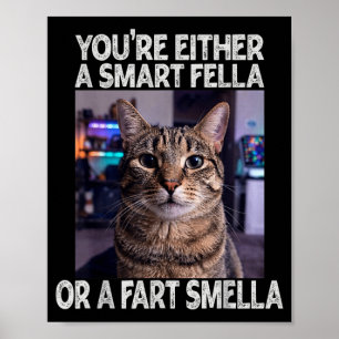 Póster Gato Divertido: O Un Tipo Inteligente O Un Tipo To