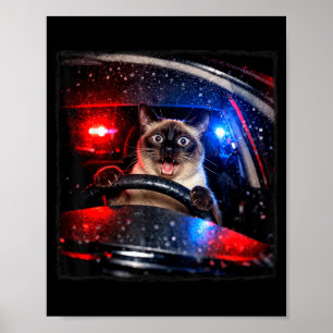 Póster Gato Divertido Persiguiendo a Gatito en Coche de P