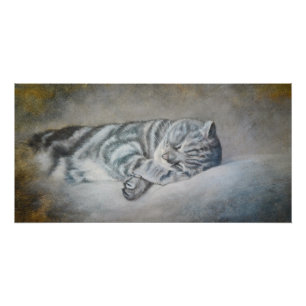 Póster Gato dormido dulce - Pintura de aceite de Lukian