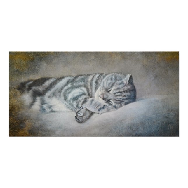 Póster Gato dormido dulce - Pintura de aceite de Lukian (Anverso)
