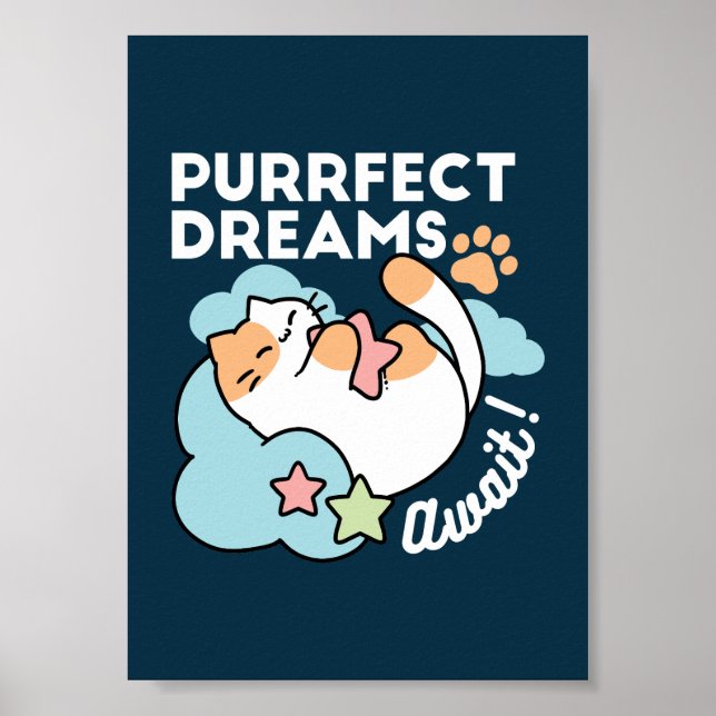 Póster Gato Dormilón Abrazando Estrella – Sueños Perfecto (Frente)