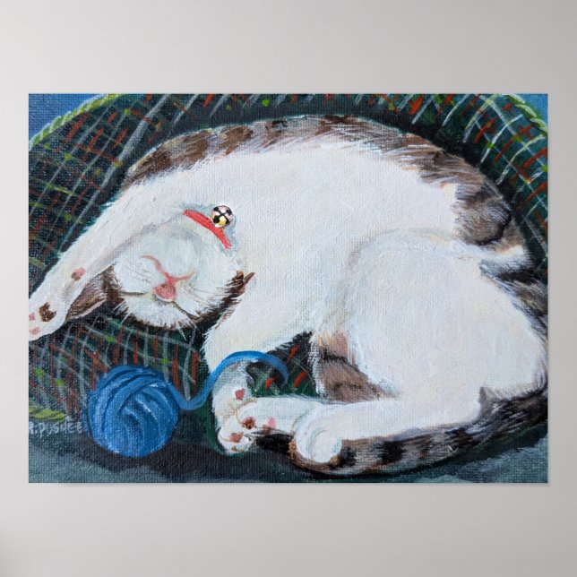 Póster Gato Durmiendo (Frente)