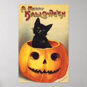 Póster Gato En Calabaza