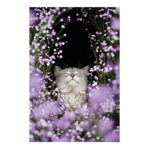 Póster Gato en flores