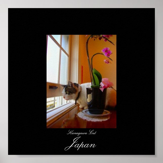 Póster Gato en Kanagawa, Japón (Frente)