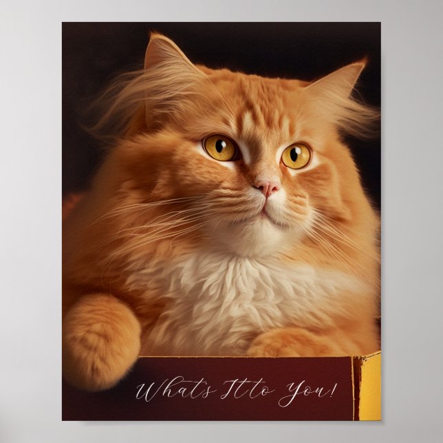Póster Gato En La Caja De Zapatos - Gato Sarcástico (Frente)