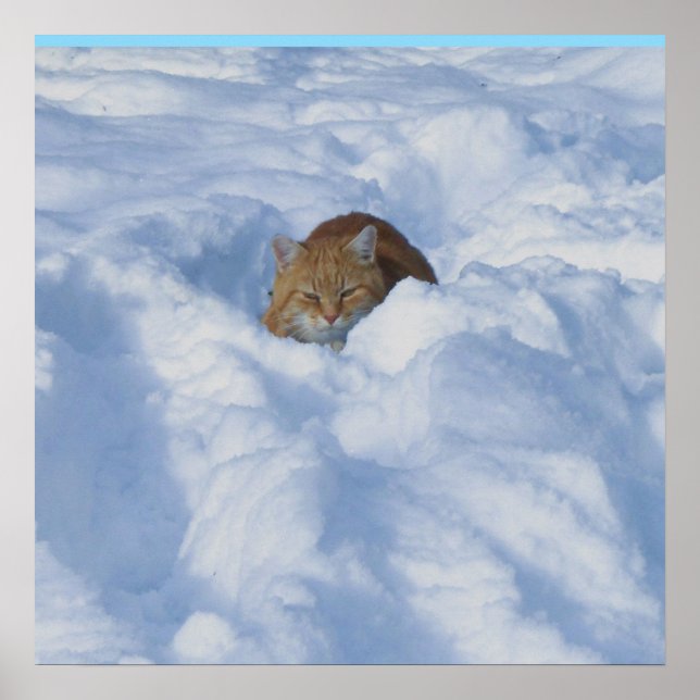 Póster Gato en la nieve (Frente)