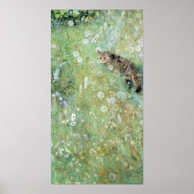 Póster Gato en la pradera de verano, Bruno Liljefors (Frente)