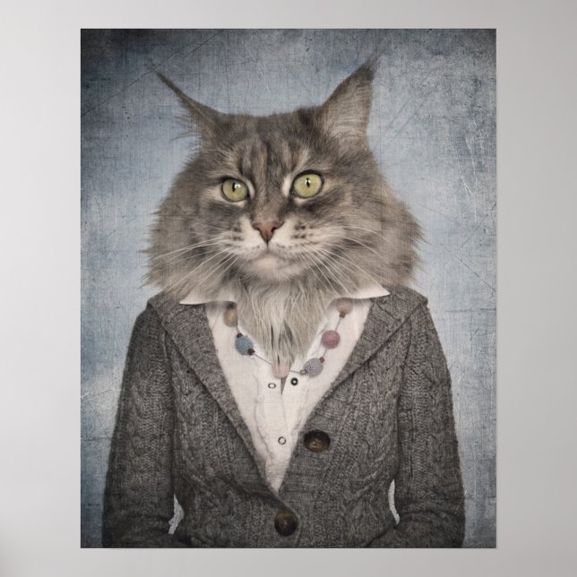 Póster Gato En Ropa (Frente)